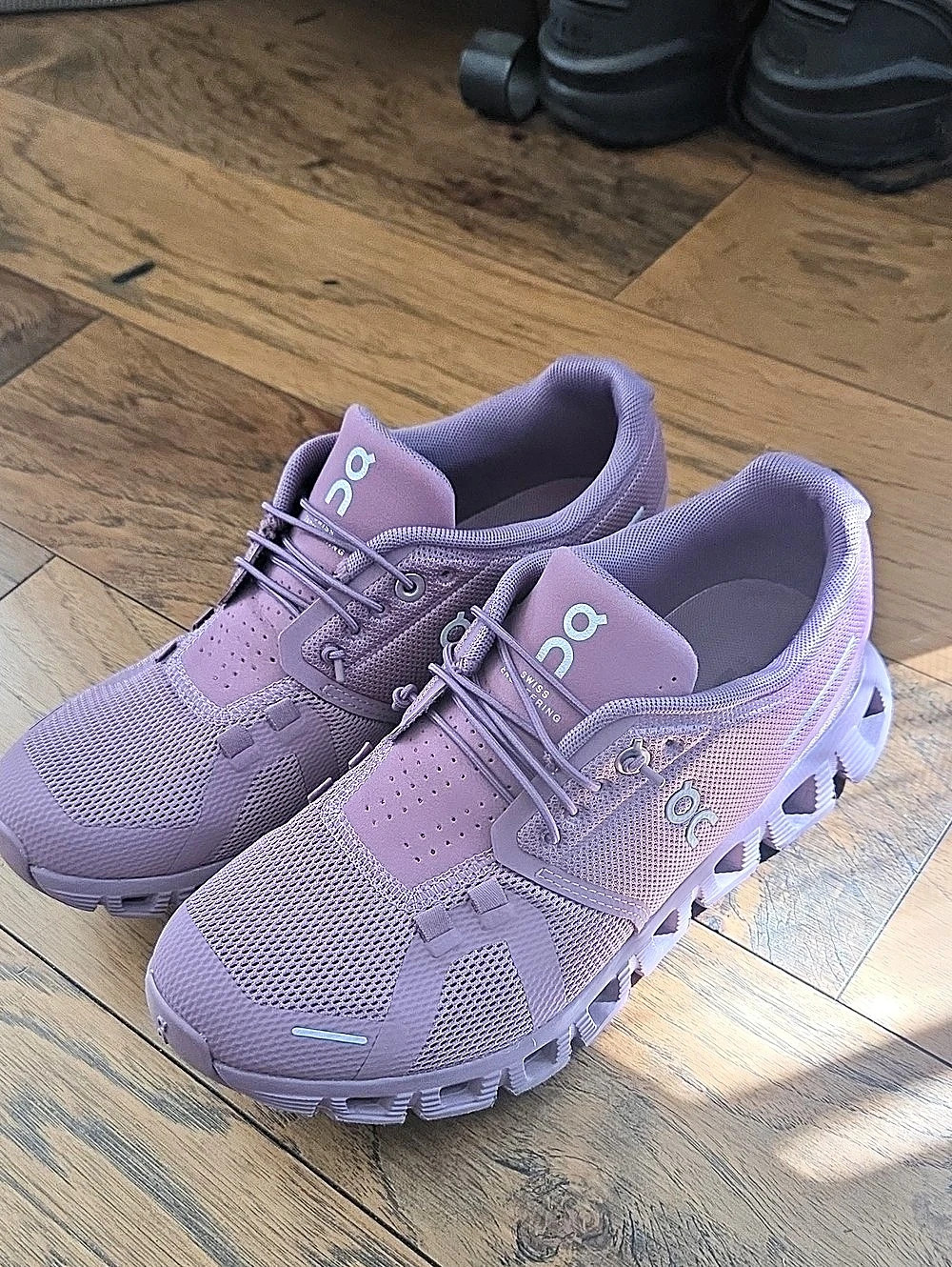 On Women's Cloud 5 Running Shoes in Fig/Quartz